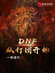 DNF�Ӵ��ſ�ʼ